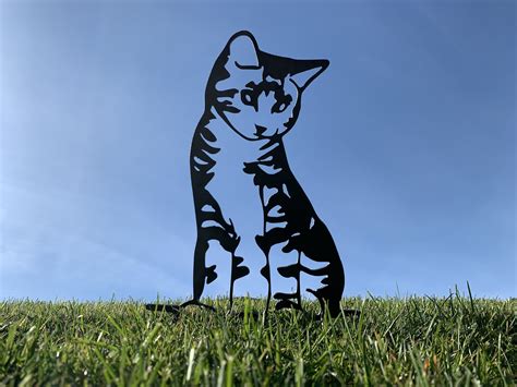 tabby silhouette